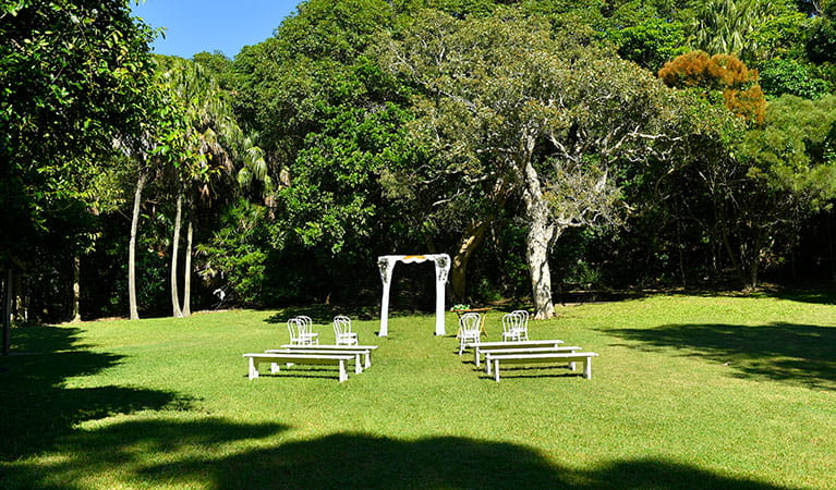 A wedding arch, benches and chairs set up on Palm Valley lawn in Cape Byron State Conservation Area. Photo: Fiora Sacco &copy; DPIE