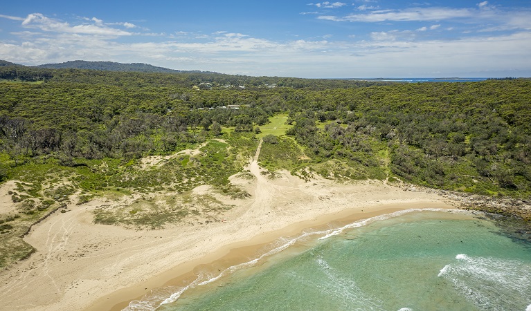 Pretty Beach and lawn, Murramarang National Park. Photo: John Spencer &copy; DPE