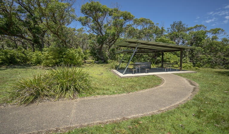 Covered picnic tables at Pretty Beach and lawn. Photo: John Spencer &copy; DPE