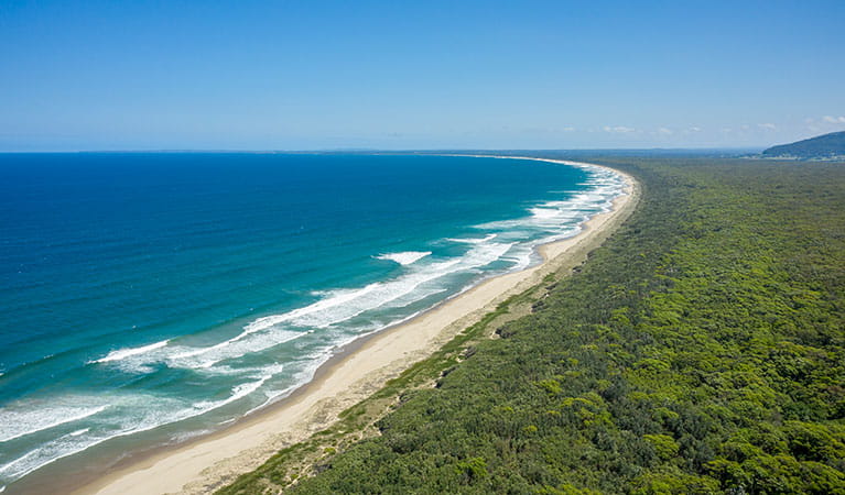 An aerial shot of Seven Mile Beach and surrounding coastal forest in Seven Mile Beach National Park. Photo: John Spencer &copy; DPIE