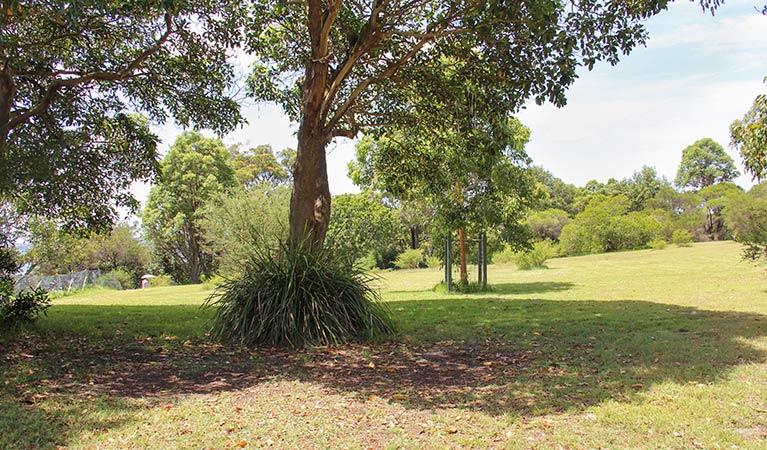 Shakespeares Point, Sydney Harbour National Park. Photo: John Yurasek &copy; OEH