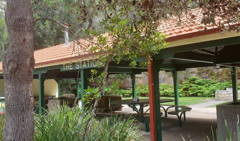 The Station picnic shelter, surrounded by trees in Ku-ring-gai Chase National Park. Photo: Nicole Ribera &copy; OEH