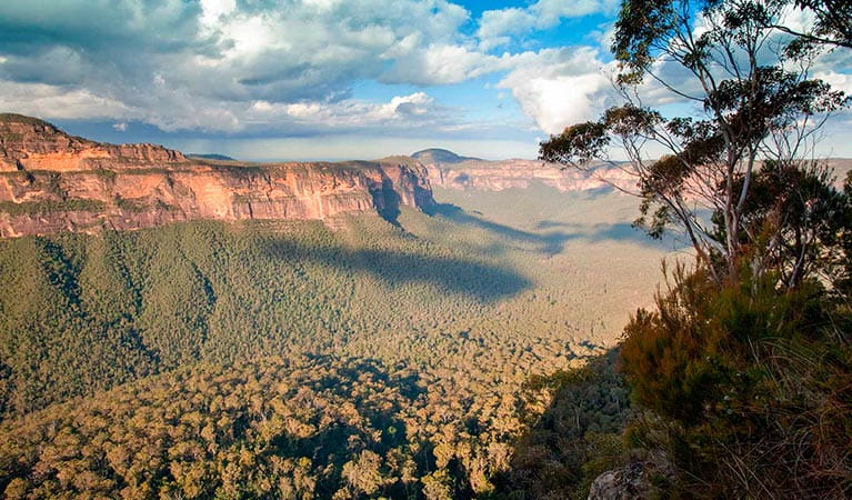 Perrys lookdown, Blue Mountains National Park. Photo: Nick Cubbin &copy; OEH