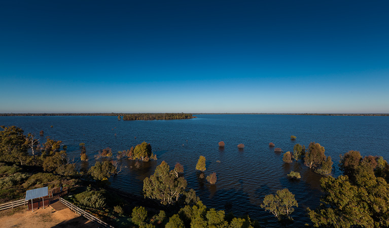 Yanga Lake, Yanga National Park. Photo: David Finnegan &copy; OEH