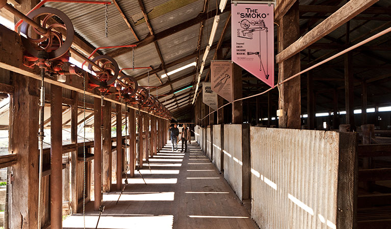 Yanga Woolshed, Yanga National Park. Photo: David Finnegan