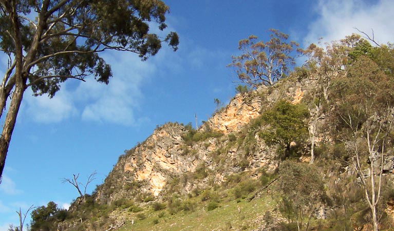 Abercrombie Karst Conservationa Reserve. Photo: Boris Hlavica