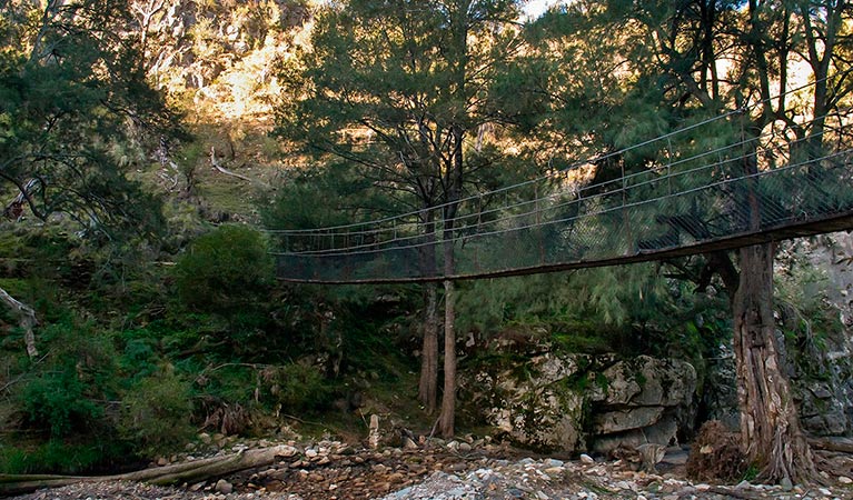 Abercrombie Karst Conservationa Reserve. Photo: Boris Hlavica