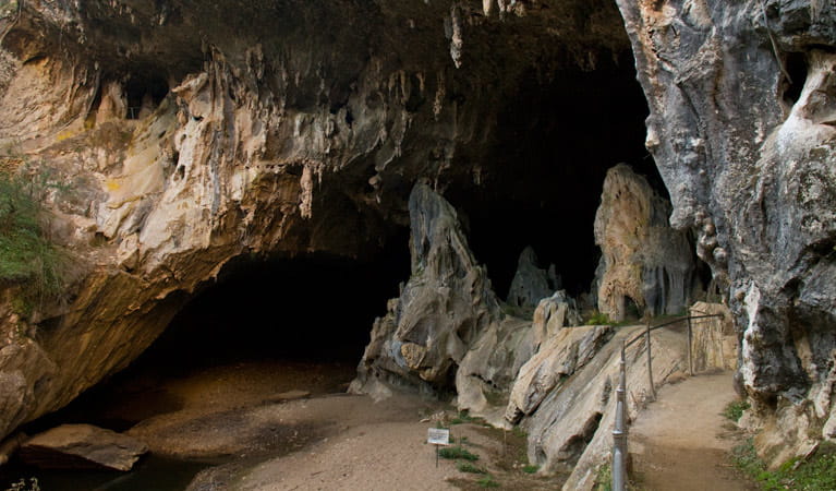 Abercrombie Caves, Abercrombie Karst Conservation Reserve. Photo: Boris Hlavica