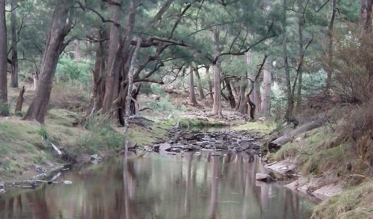 Sink campground, Abercrombie River National Park. Photo: J Bros