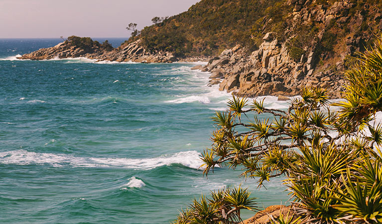 Monument Hill walking track, Arakoon National Park. Photo: David Finnegan