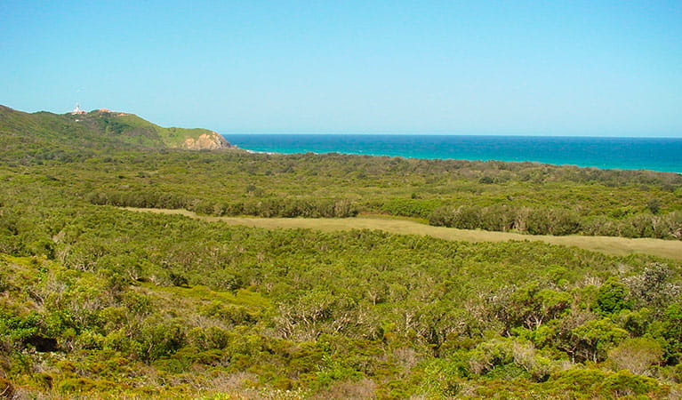  View of Arakwal National Park. Photo: N Graham