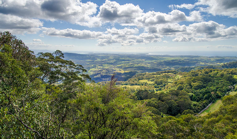 Illawarra lookout walking track, Barren Grounds Nature Reserve. Photo: John Spencer