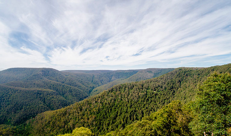 Thunderbolts lookout, Barrington Tops National Park. Photo: John Spencer