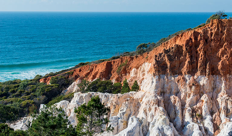 Ben Boyd National Park. Photo: John Spencer