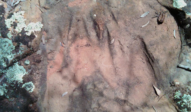 Grinding grooves, Beni State Conservation Area. Photo: C Chaffey