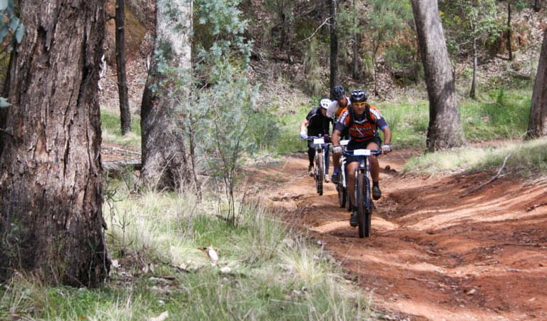 Mountain bike riders on the Beni Spring Spin trails, Beni State Conservation Area. Photo: C Chaffey