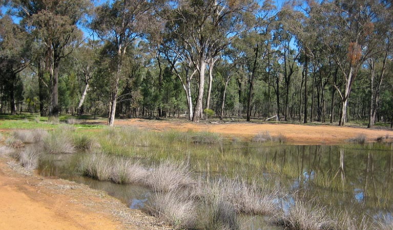 Two Dams picnic area, Beni State Conservation Area. Photo: M Bannerman