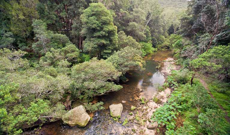 Berowra Valley National Park. Photo: Nick Cubbin