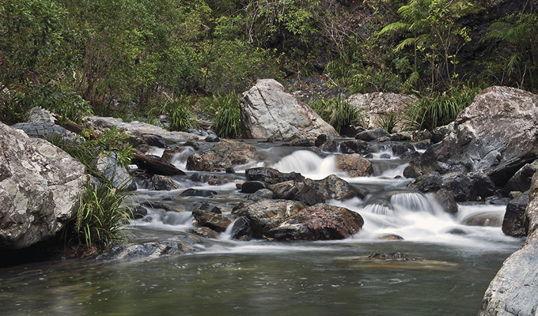 Urumbilum River, Bindarri National Park. Photo: Shane Ruming