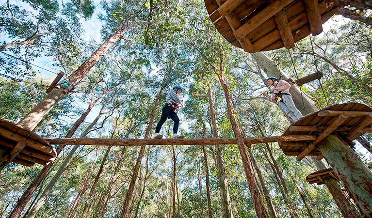 Tree Top Adventure Park, Blue Gum Hills Regional Park. Photo: Tree Top Adventure Park