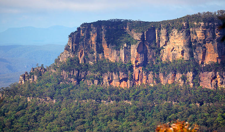 Narrow Neck trail, Blue Mountains National Park. Photo: Steve Alton