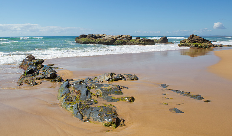 Bonville Beach, Bongil Bongil National Parks. Photo: Rob Cleary/Seen Australia