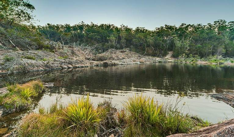 Boonoo Boonoo Falls, Boonoo Boonoo National Park. Photo: David Young