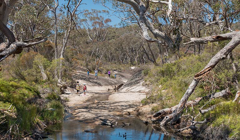 Morgans Gully, Boonoo Boonoo National Park. Photo: David Young