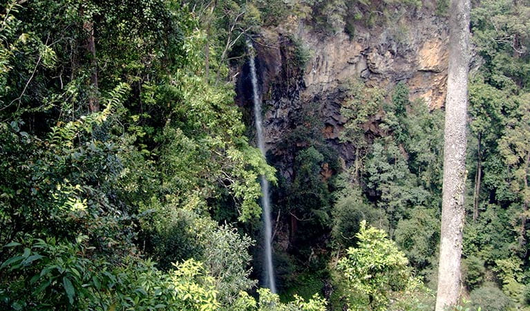 Rawson Falls walk, Boorganna Nature Reserve. Photo: L Feltus