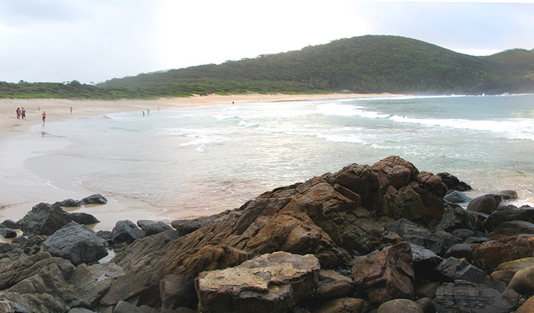 Boomerang Beach, Booti Booti National Park. Photo: Ian Charles