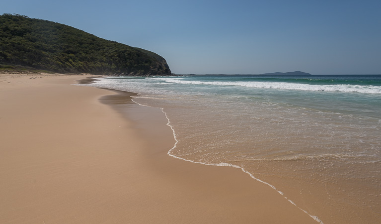 Elizabeth Beach picnic area, Booti Booti National Park. Photo: John Spencer