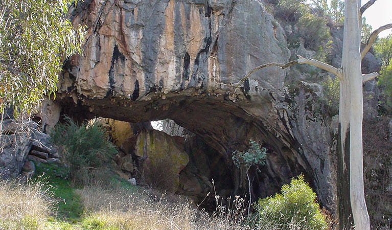 Arch cave, Borenore Karst Conservation Reserve. Photo: Steve Woodhall