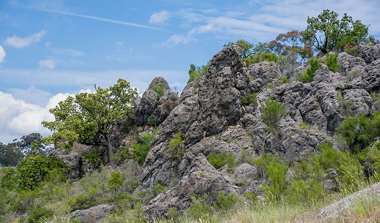 Verandah Cave, Borenore Karst Conservation Reserve. Photo: Steve Woodhall