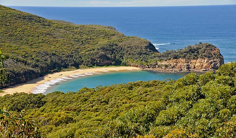 Bouddi Ridge Explorer, Bouddi National Park. Photo: Kevin McGrath