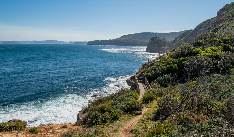 Mount Bouddi walking track, Bouddi National Park. Photo: John Spencer