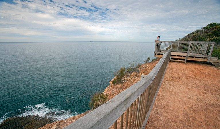 Gerrin Point lookout, Bouddi National Park. Photo: Nick Cubbin