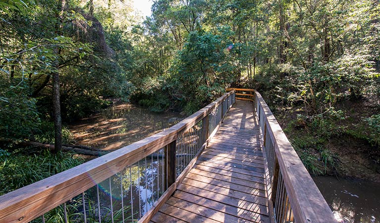 Brimbin Nature Reserve. Photo: John Spencer