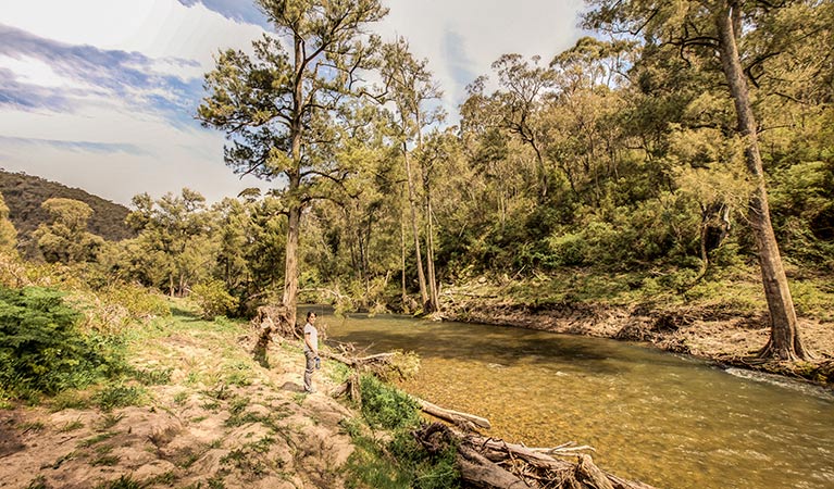 McIntyres campground, Brindabella National Park. Photo: Murray Vanderveer