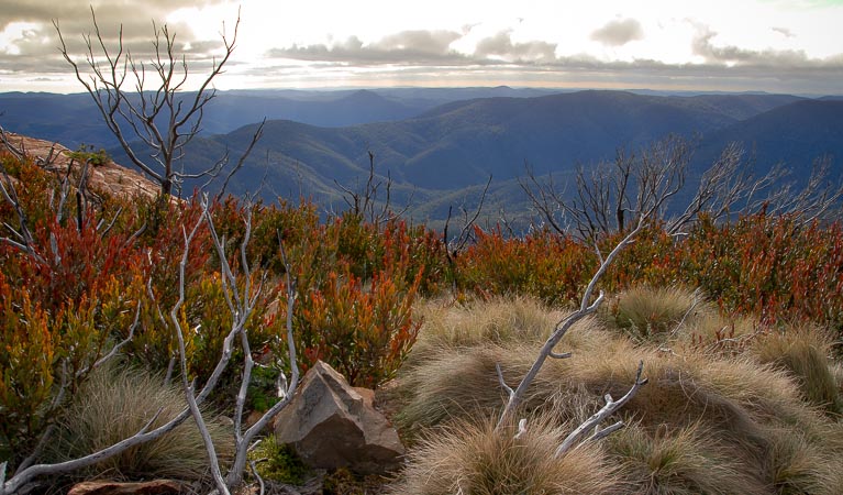 Looking across the mountain range in Brindabella National Park. Photo: OEH