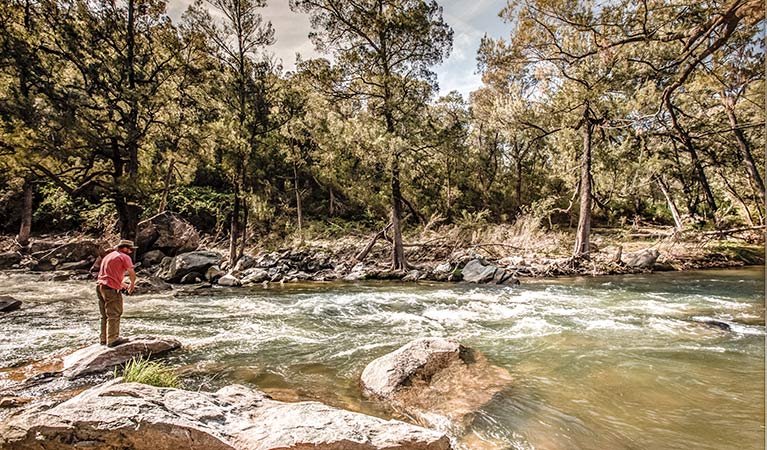 Fishing at Flea Creek, Brindabella National Park. Photo: Murray Vanderveer