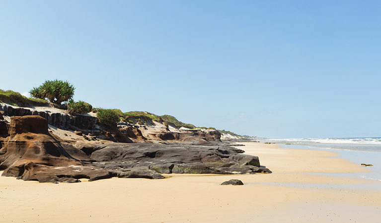 Black Rocks campground, Bundjalung National Park. Photo: Rob Cleary/Seen Australia