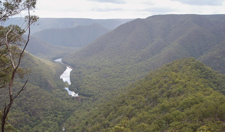 Shoalhaven Gorge, Bungonia National Park. Photo: OEH