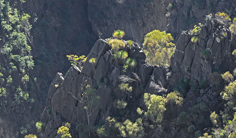 Adams lookout, Bungonia National Park. Photo: Ford Kristo