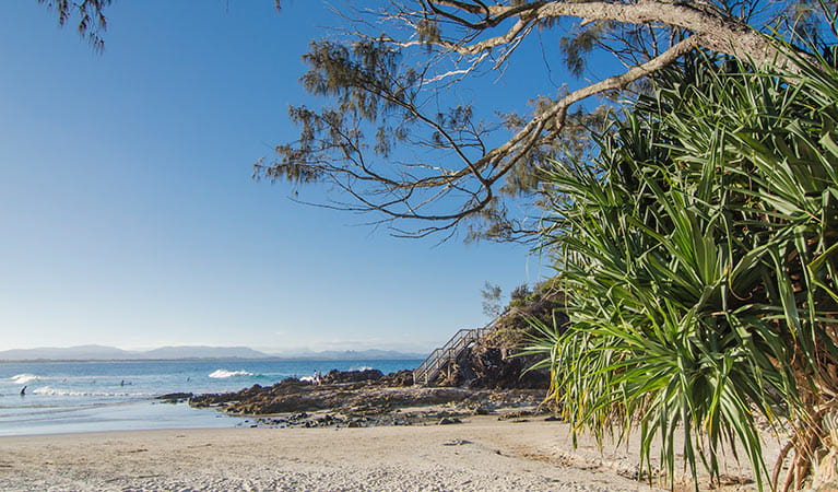 The Pass, Cape Byron State  Conservation Area. Photo: John Spencer