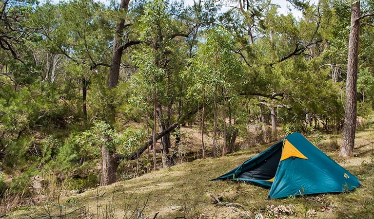 Policeman's Point campground, Capertee National Park. Photo: Michelle Barton