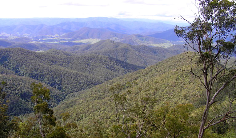 The view from Carrai National Park over the upper Macleay Valley. Photo: Piers Thomas/OEH