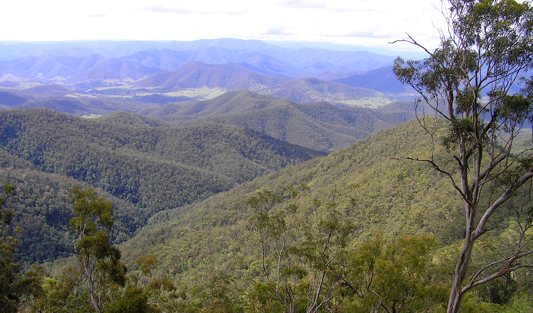 The view from Carrai National Park over the upper Macleay Valley. Photo: Piers Thomas/OEH