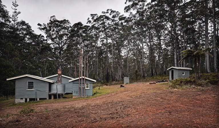 Daisy Plains Huts, an old forestry camp on Carrai Road, Carrai National Park. Photo: Shane Ruming/OEH