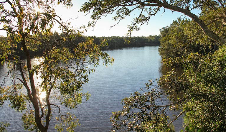 Cattai River lookout, Cattai National Park. Photo: John Yurasek