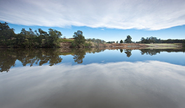 Cattai National Park. Photo: Rosie Nicolai